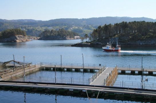 Piscinas de Coast Seafood As, en Sotra