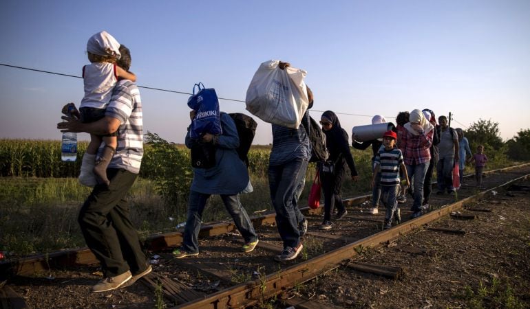 Inmigrantes sirios tratan de cruzar la frontera entre Servia y Hungría.