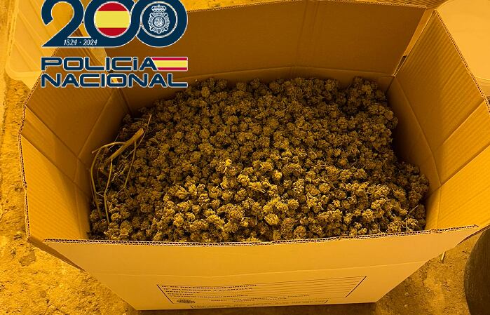 Marihuana incautada por la Policía