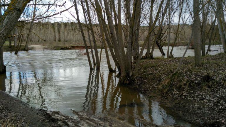 Las crecidas están afectando a los ríos Riaza y Duratón