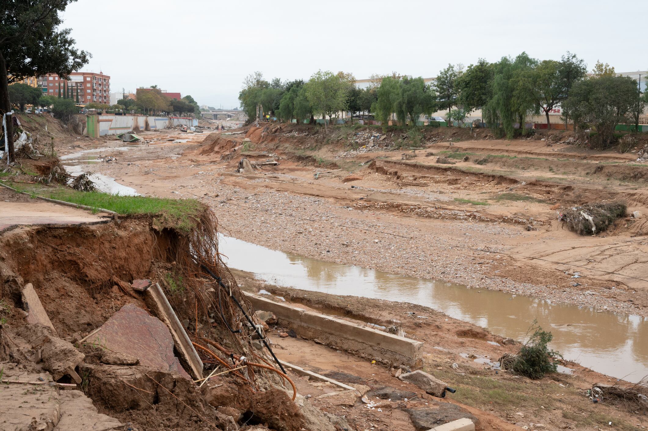 Barro en el barranco del Poyo (octubre 2024)