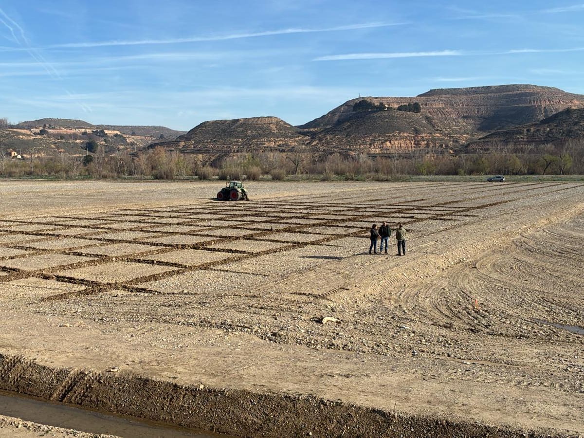 Comienzan las labores de replantación en la zona norte del Cinca Revive