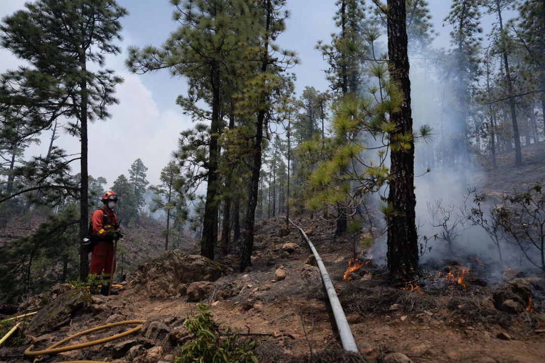 Tareas de extinción del incendio de Arico (Tenerife)