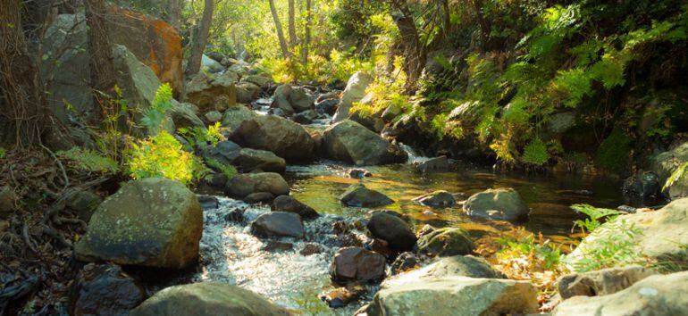 Arroyo de la Garganta del Capitán en Algeciras