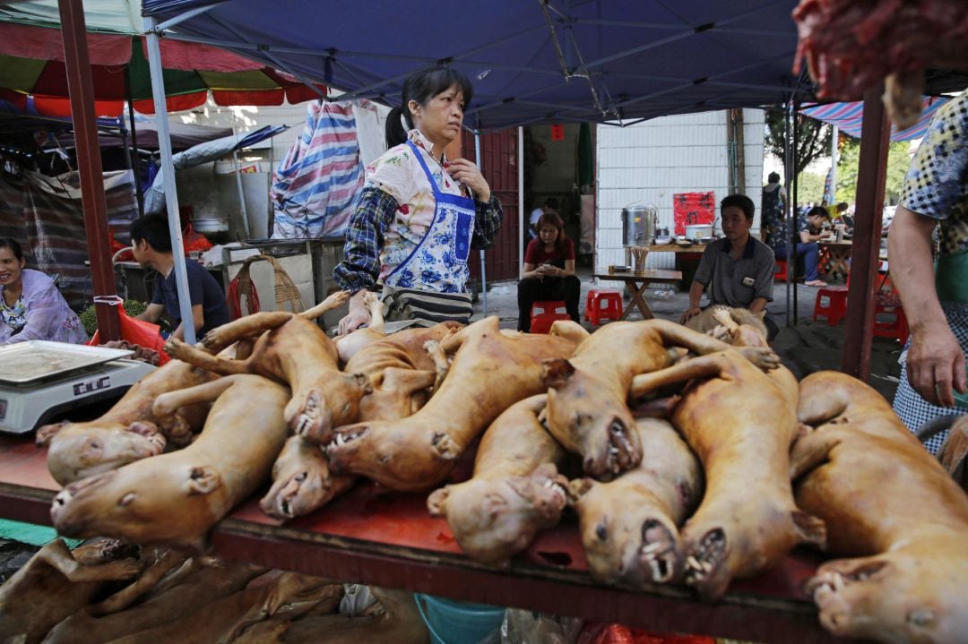 Carne de perro a la venta durante el Festival de la Carme de Perro de la provincia de Guangxi