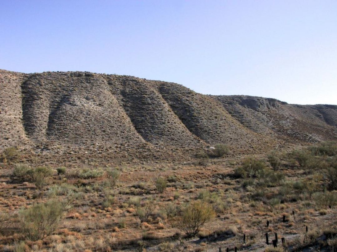 Paisaje de espartales en el Parque Regional del Sureste.