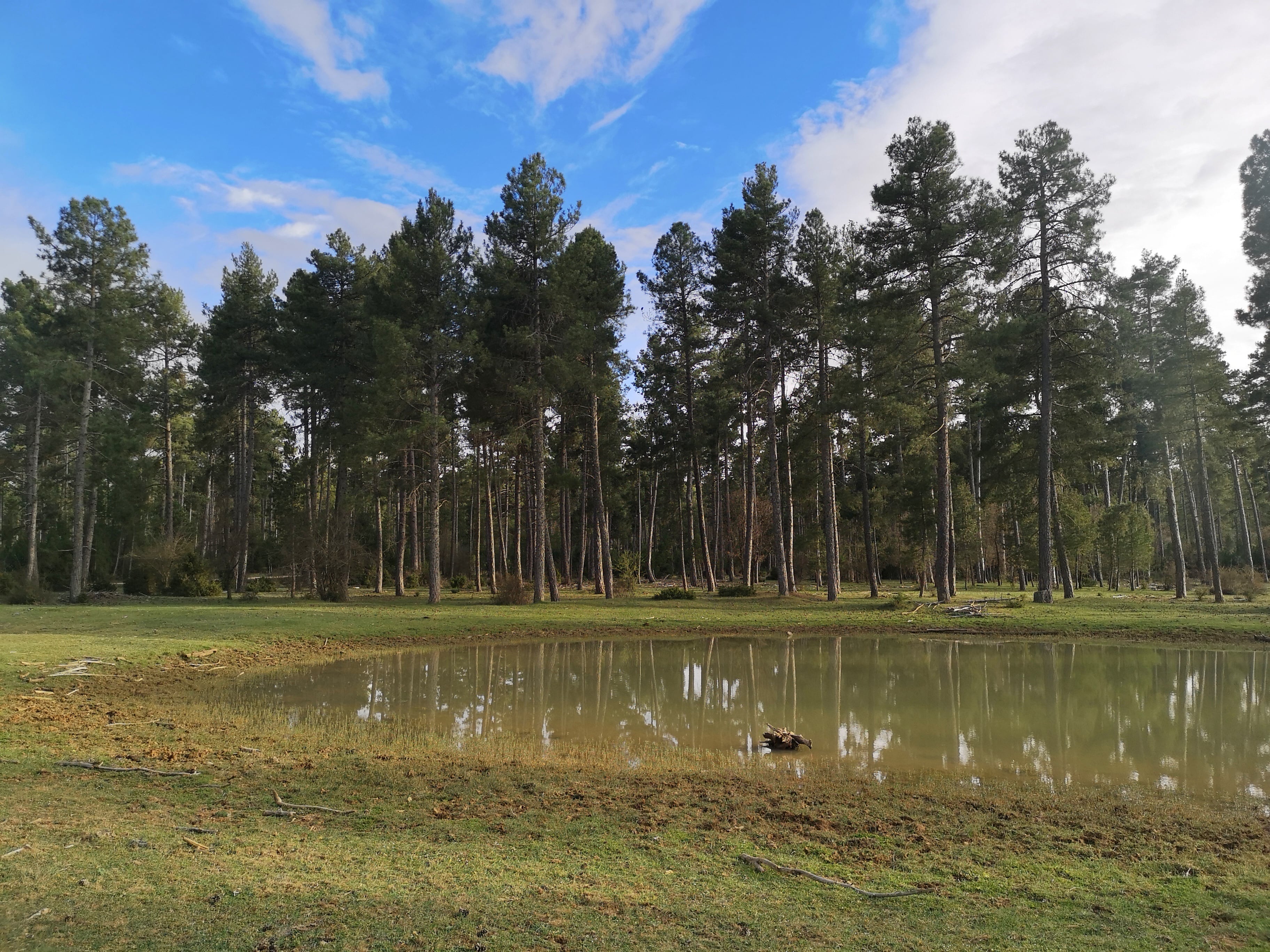 Sumidero de los Palancares, en Cuenca.