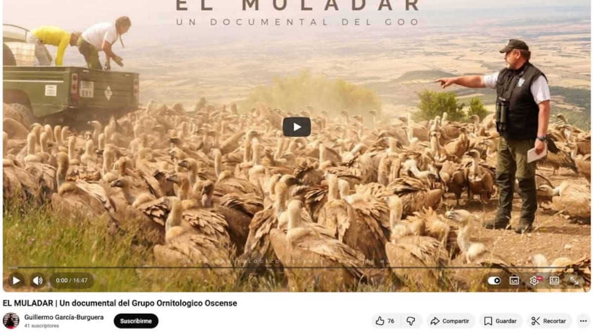 Ignacio Arizón, del Grupo Ornitológico Oscense, en Hoy por Hoy