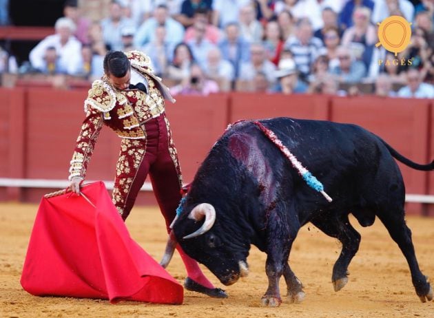 Manzanares en un honodo derechazo a su primer oponente