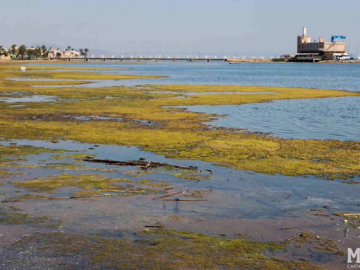 Vecinos de Estrella de Mar piden una pasarela que les garantice un baño seguro y salvar la zona de fangos y algas