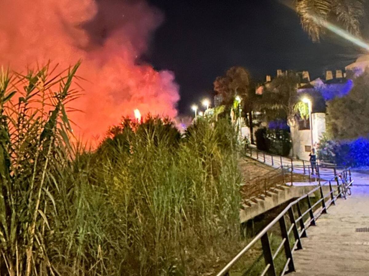 Bomberos intervienen un incendio de pasto en Algeciras