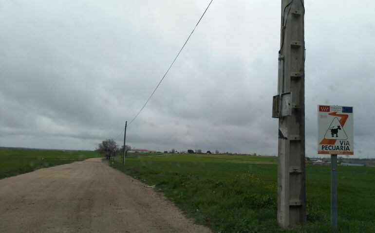 Vía Pecuaria que lleva a la lactarea &#039;Los Combos&#039;