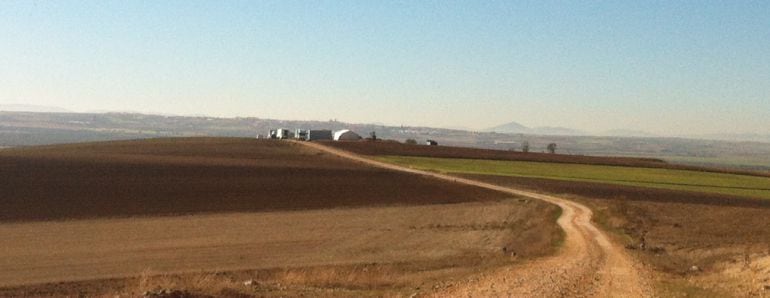 Vista del asentamiento del &quot;Nuevo Cavero&quot;, en una parcela agrícola