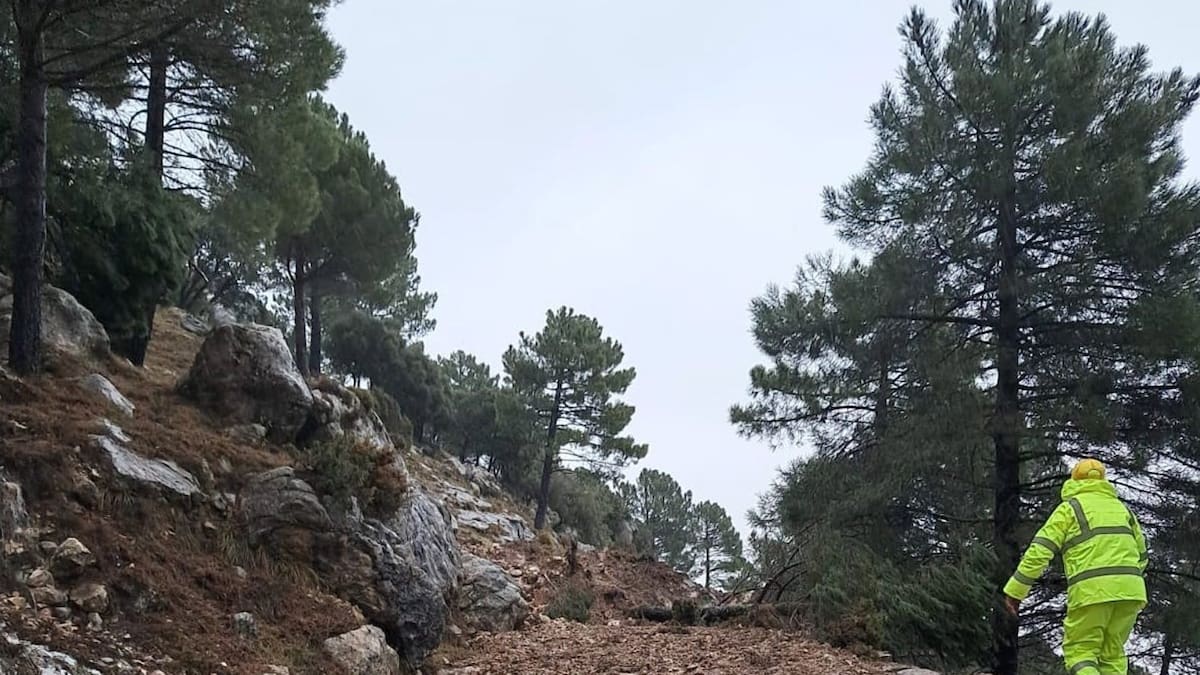 Un total de 22 carreteras de la red provincial sufren cortes por el temporal de lluvia y viento