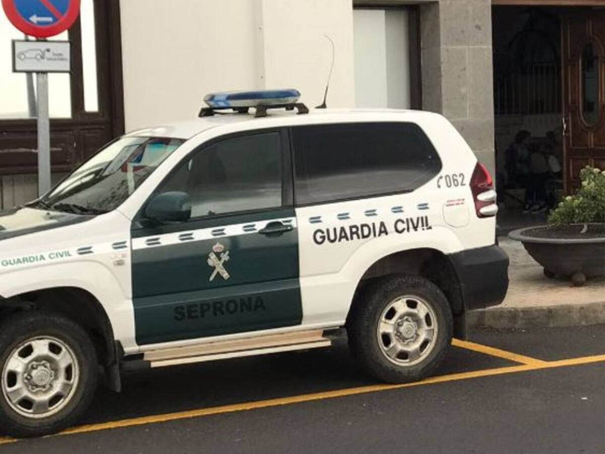 Gloria Moreno: "el Seprona está seriamente dañado en Lanzarote"