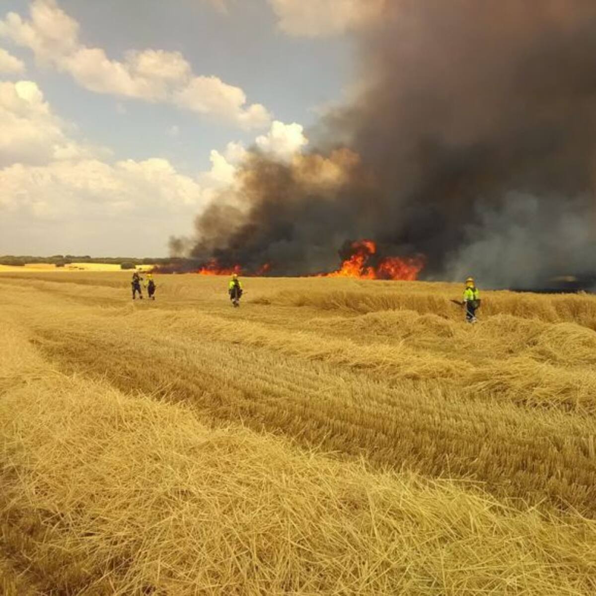 Hasta octubre los agricultores madrileños deben informar sobre el uso de maquinaria para evitar incendios