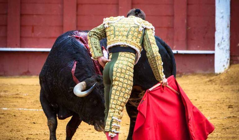 El Juli es uno de los habituales en las fiestas de Sanse, donde ha crecido año tras año hasta ser el gran toreo que hoy es