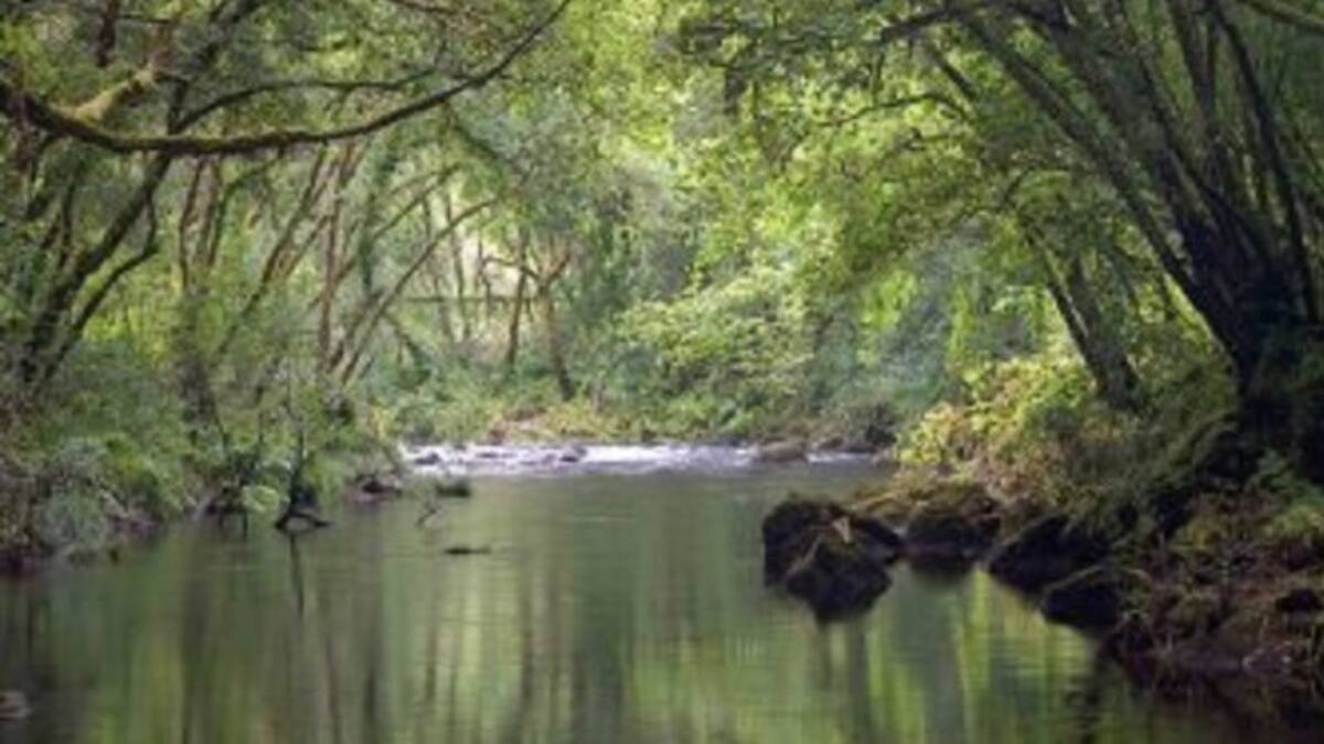 Fragas do Mandeo, una década del fondo de conservación medioambiental más importante de A Coruña