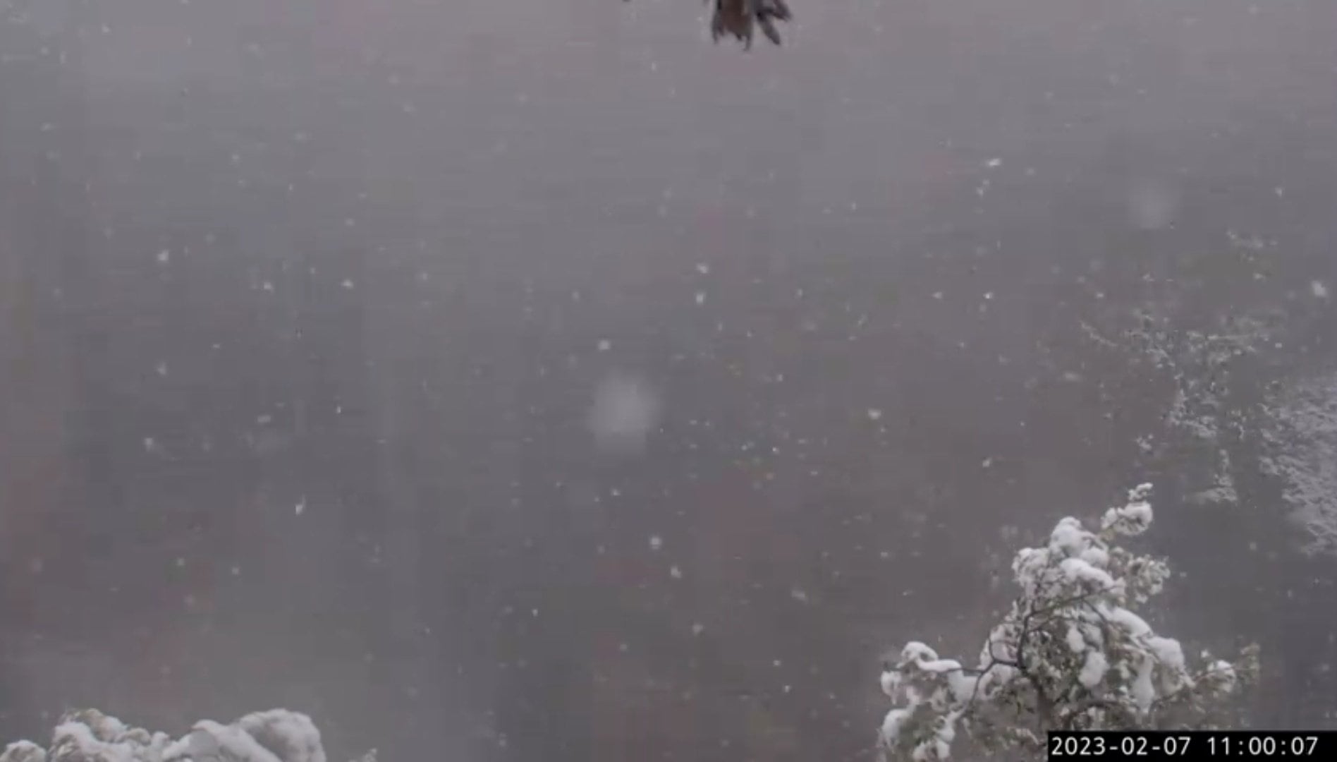 La nieve ya es protagonista en la provincia de Albacete