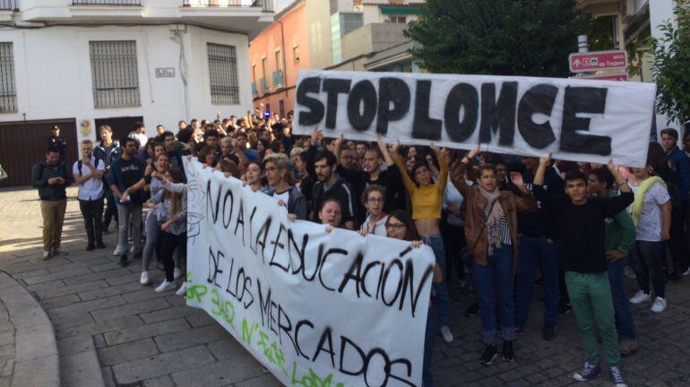 Protestas en Mérida contra la Lomce