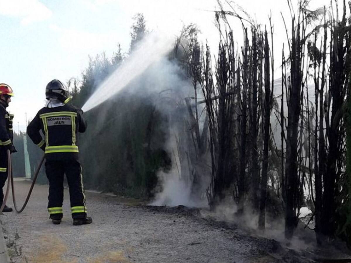 Segundo incendio en el parque del Bulevar en menos de ocho días