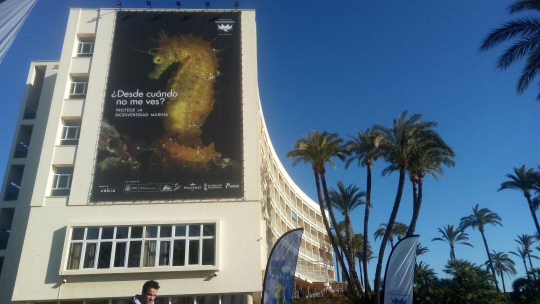 Mural del caballito de mar instalado en el Parador Nacional de Jávea.