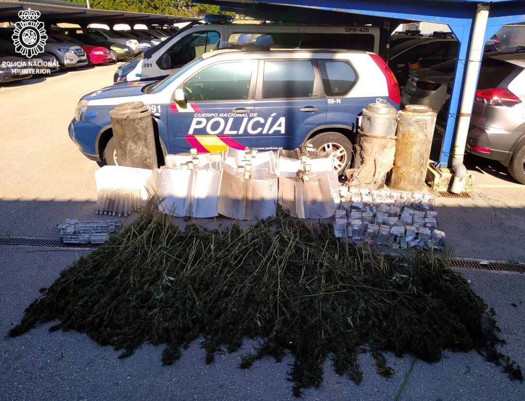 La plantación podría tener más de 500 plantas y hay dos detenidos