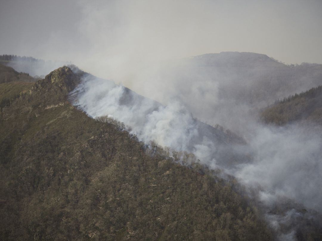 Parte del incendio situado en terreno de Guipúzcoa en AuzoBerri