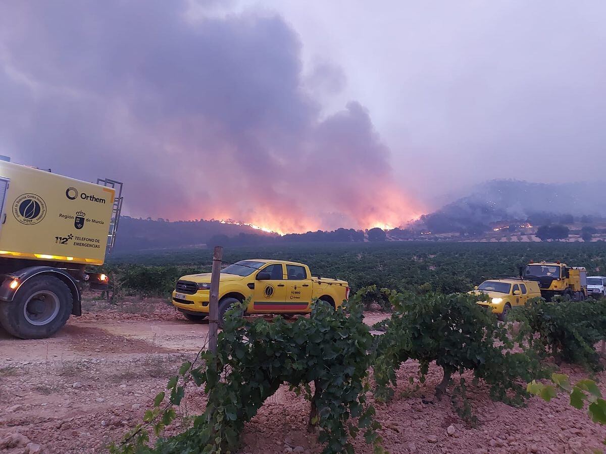 Incendio  forestal en Jumilla