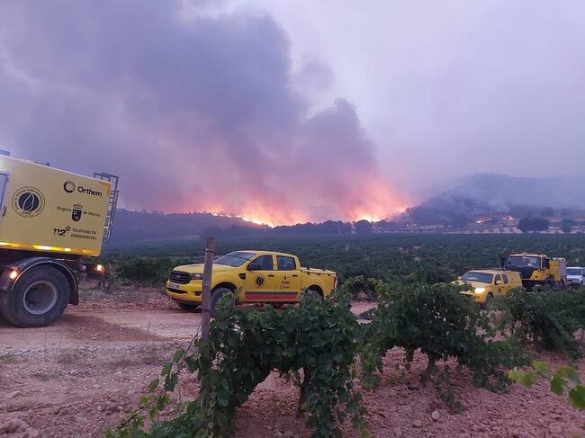 Incendio forestal en Jumilla