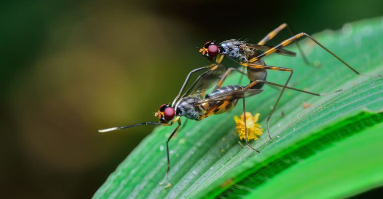 El mundo de la sexualidad esconde grandes curiosidades que a veces pasan desapercibidas
