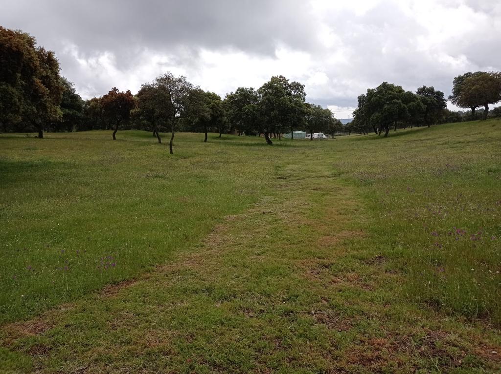 Limpieza del Parque Natural tras la celebración de la Romería de la Virgen de la Cabeza.