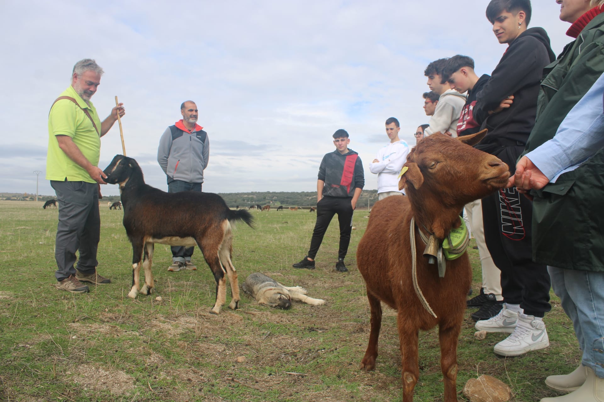 Aguilar de Campoo acogerá la segunda edición de la Escuela de Pastores del proyecto Reactiva Brañosera