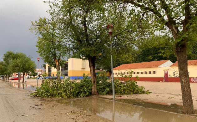 Imagen de una calle en Alcázar de San Juan con ramas de árboles caídas tras la tromba de agua de este martes