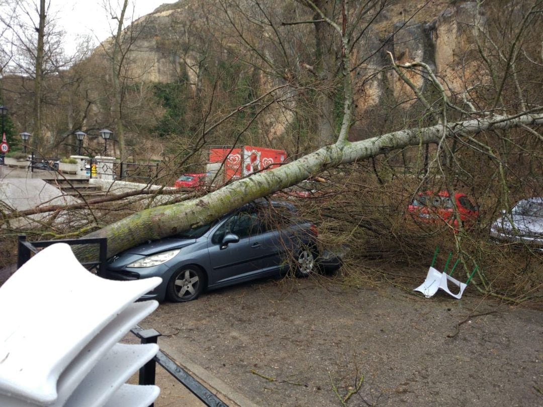 Árbol caído encima de un coche durante una tormenta en el Recreo Peral de Cuenca