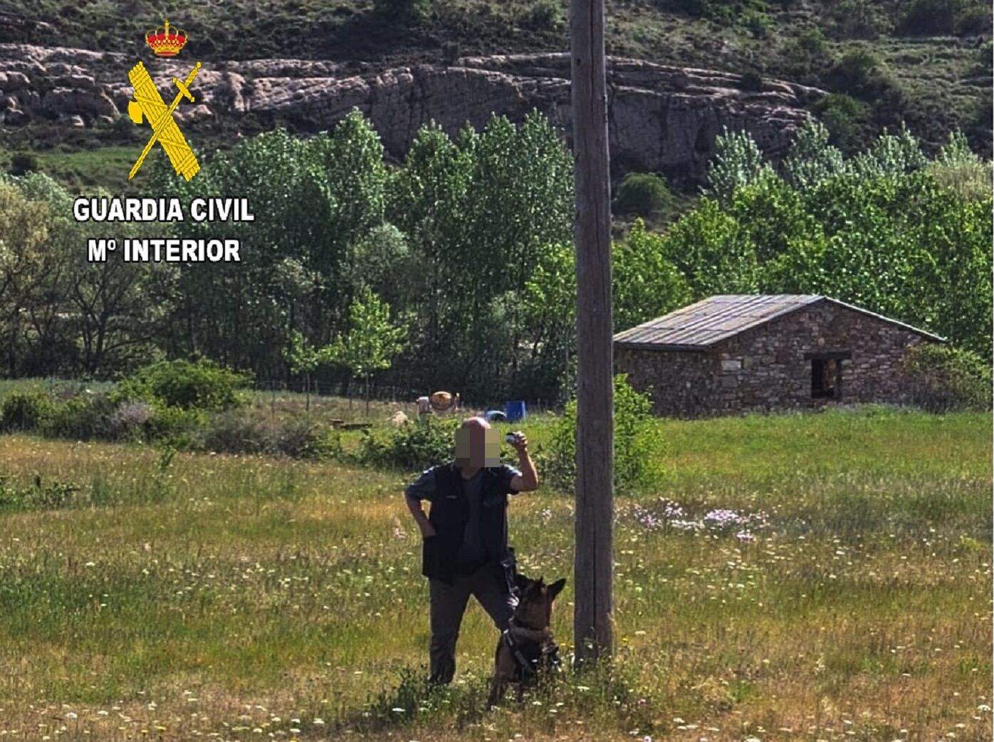 La Guardia Civil de Palencia denuncia a una persona por el uso de herbicidas sin autorización en un jardín público de Aguilar