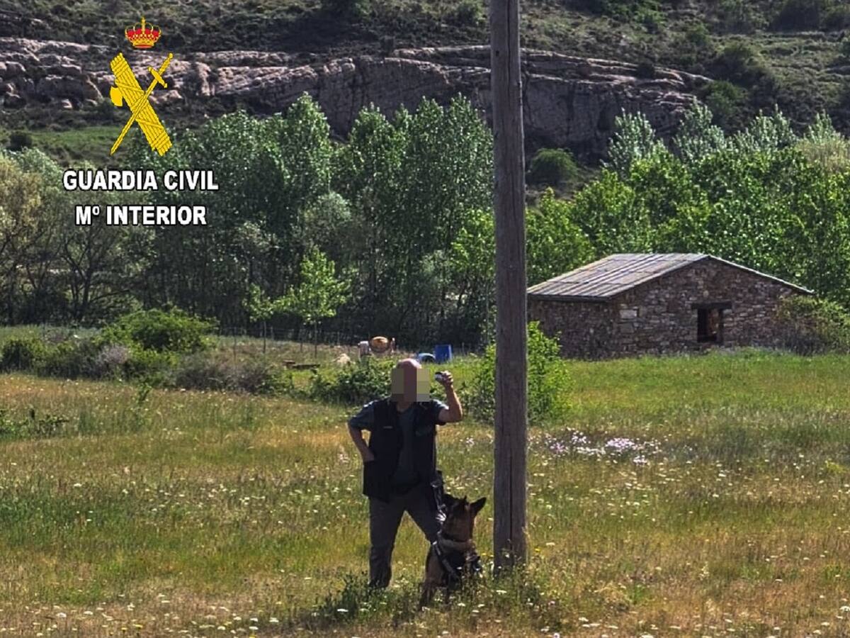 Denunciado por el uso de herbicidas sin autorización en un jardín público de Aguilar de Campoo