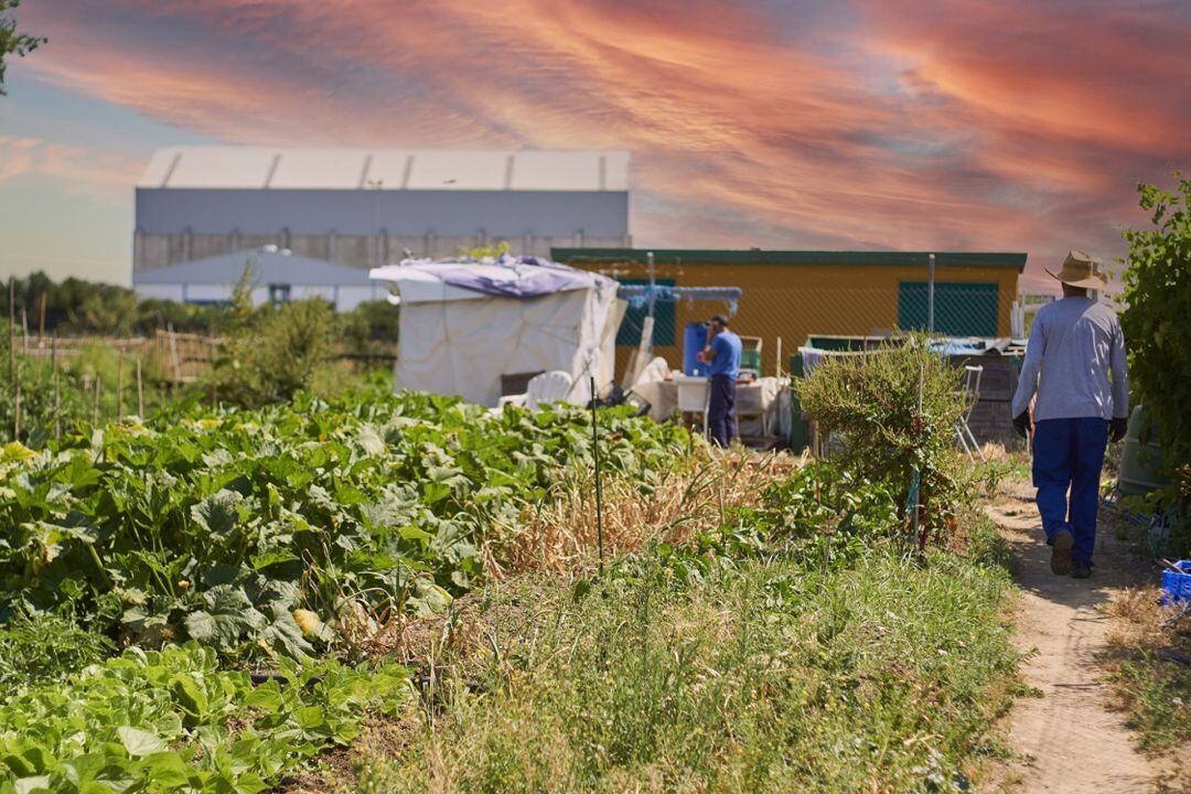 Uno de los huertos solidarios de Madre Coraje