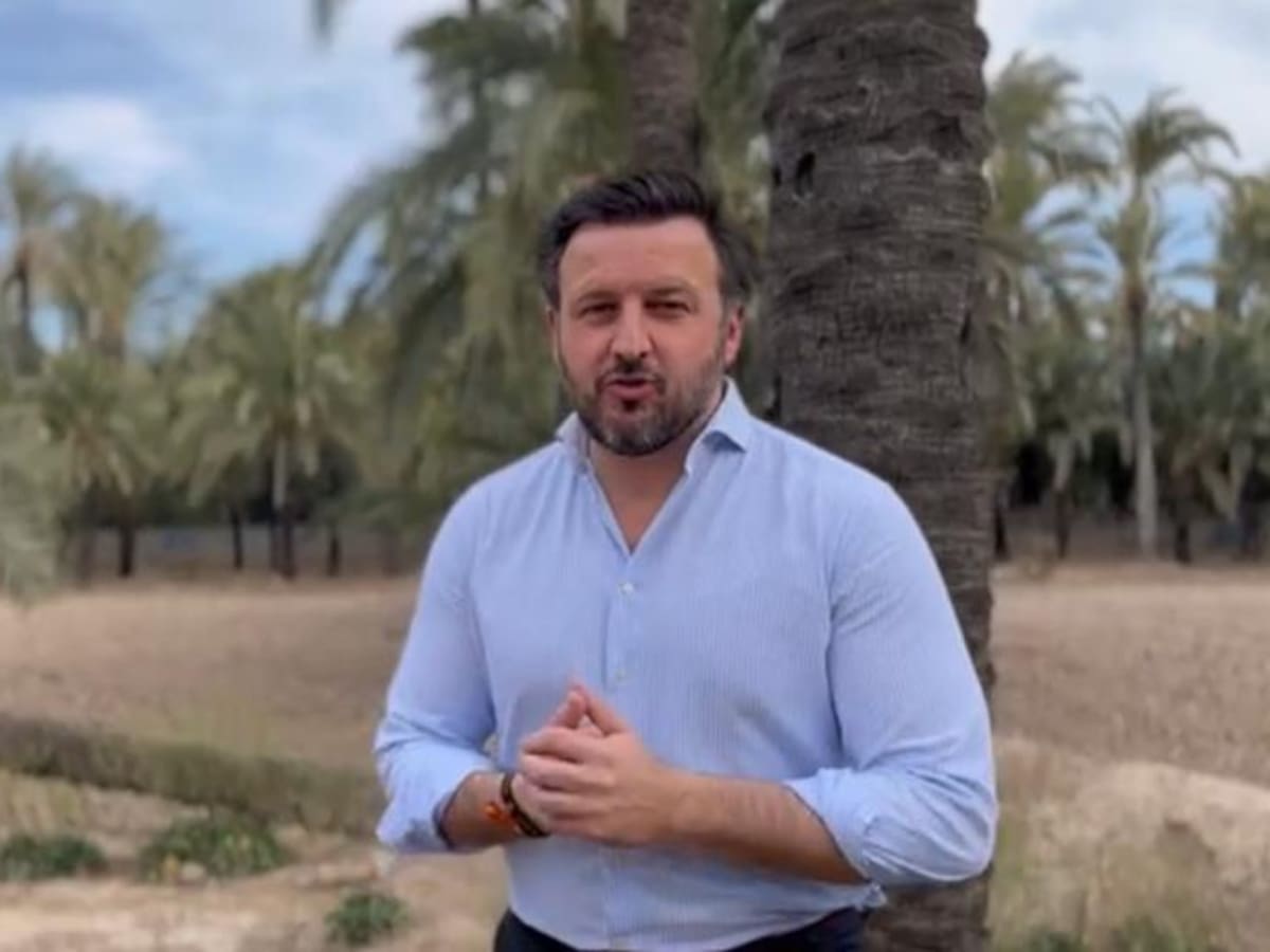 El PP de Elche propone el uso de los huertos de palmeras como espacios agrarios