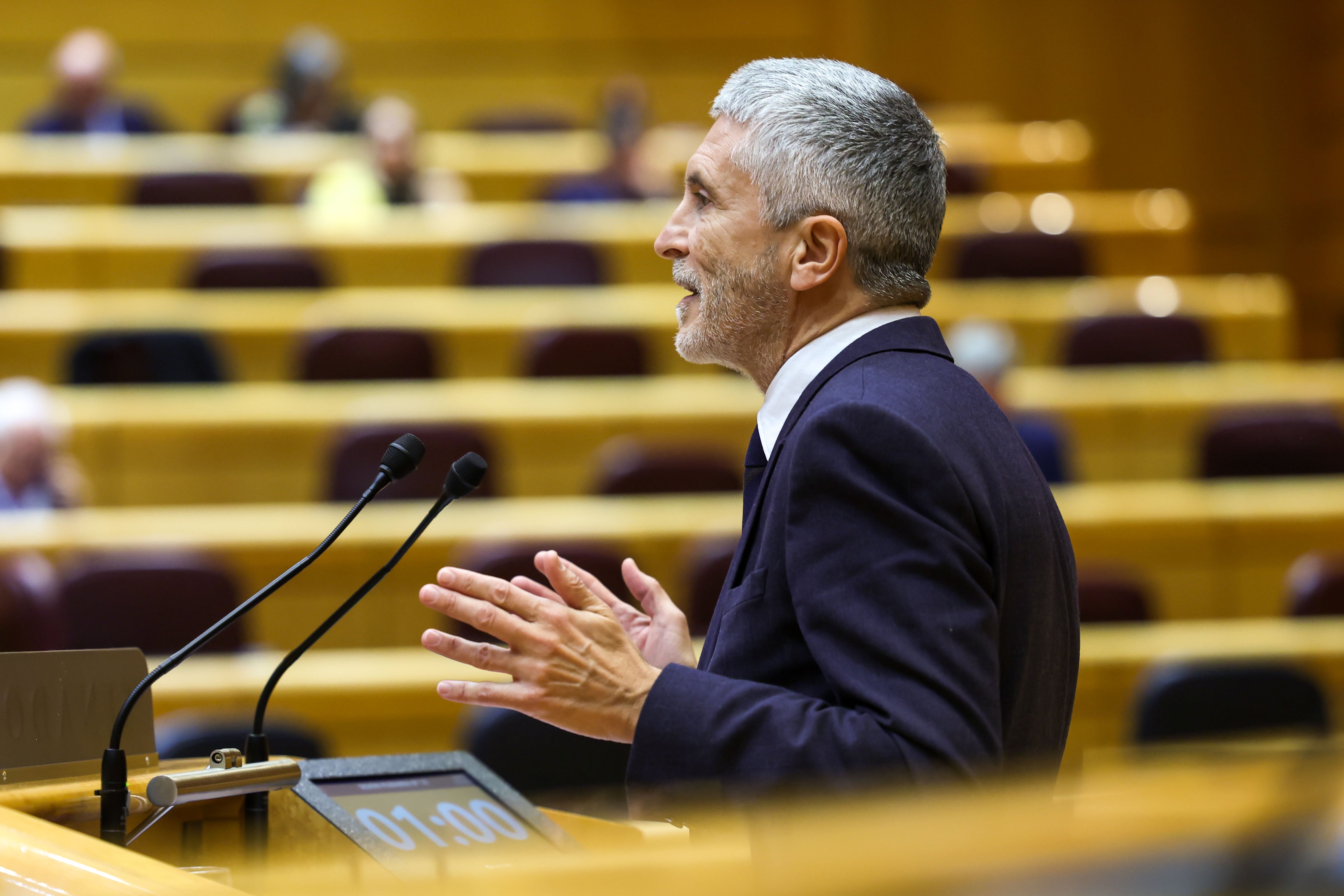 El ministro del Interior, Fernando Grande Marlaska, en una foto de archivo en el Senado