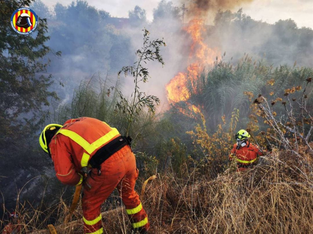 Bomberos forestales apagando un incendio