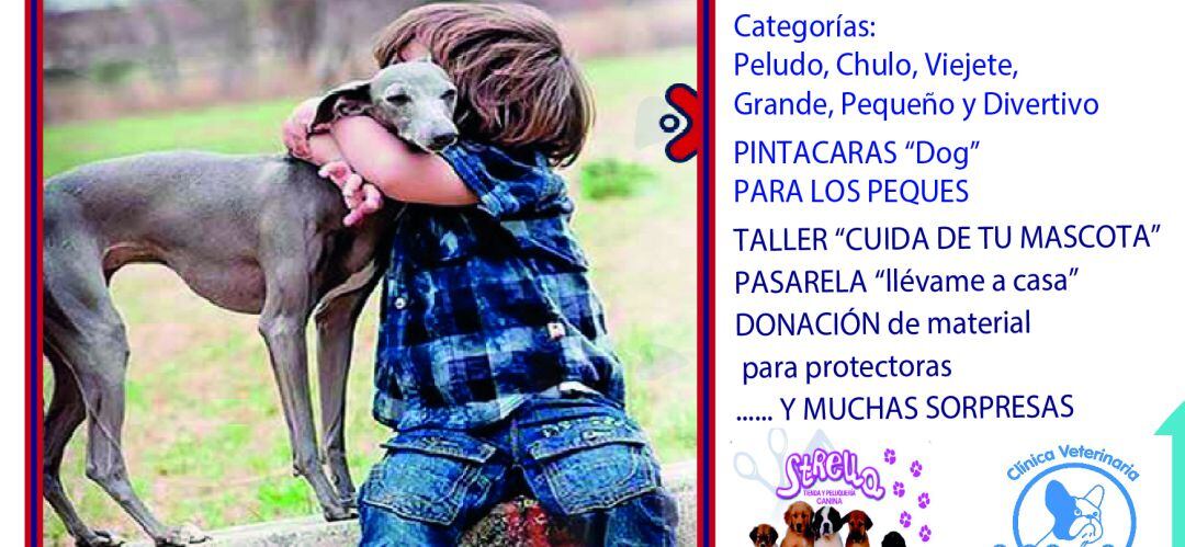 Cartel de la I Pasarela de Adopción de Mascotas