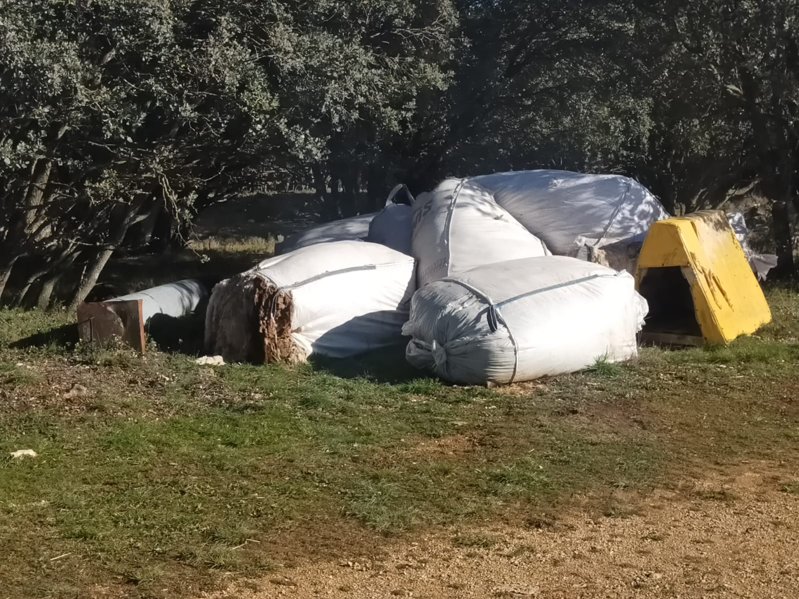 Sacos de lana acumulada en una explotación ganadera en Cuenca