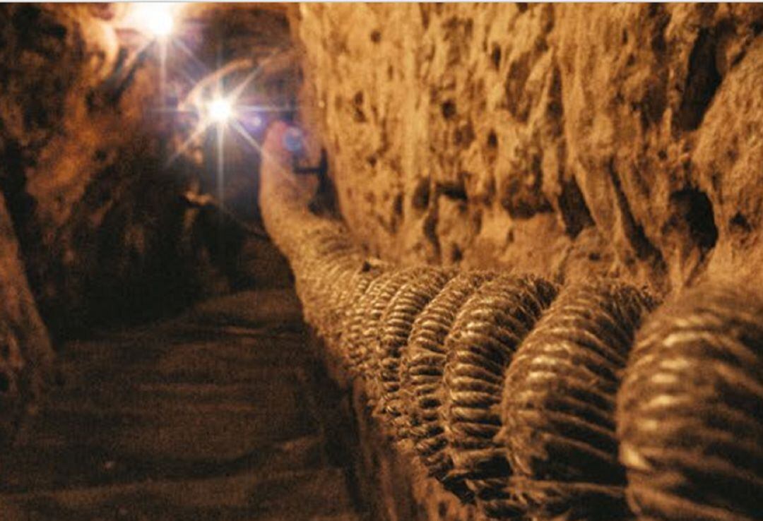 Detalle del folleto que anuncia esta jornada