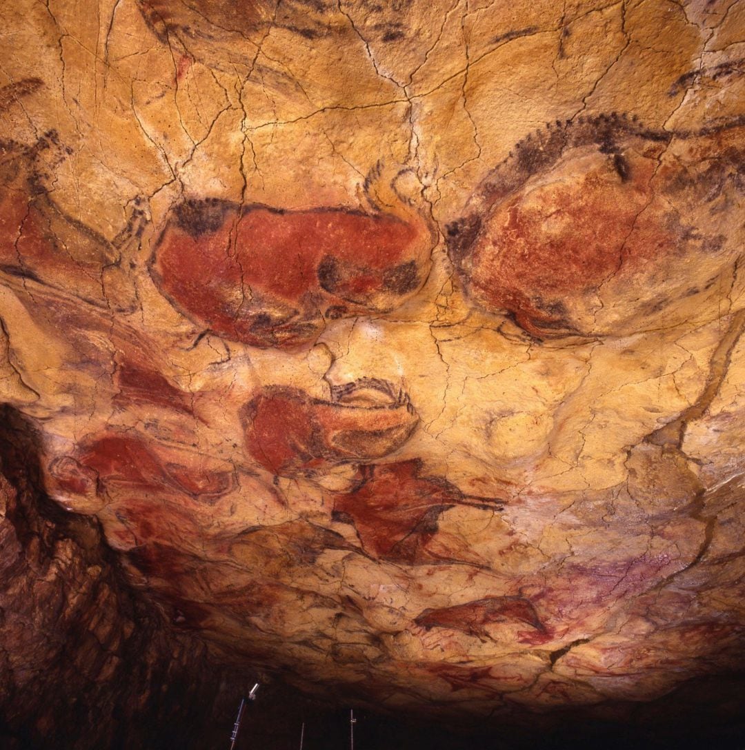 Las visitas a la cueva original de Altamira, cavidad de arte rupestre Patrimonio de la Humanidad, se reanudarán el 15 de agosto, tras permanecer cerrada por la pandemia del coronavirus, con el mismo acceso restringido, aunque ahora sin sorteo, ya que se vuelve a la lista de espera. 