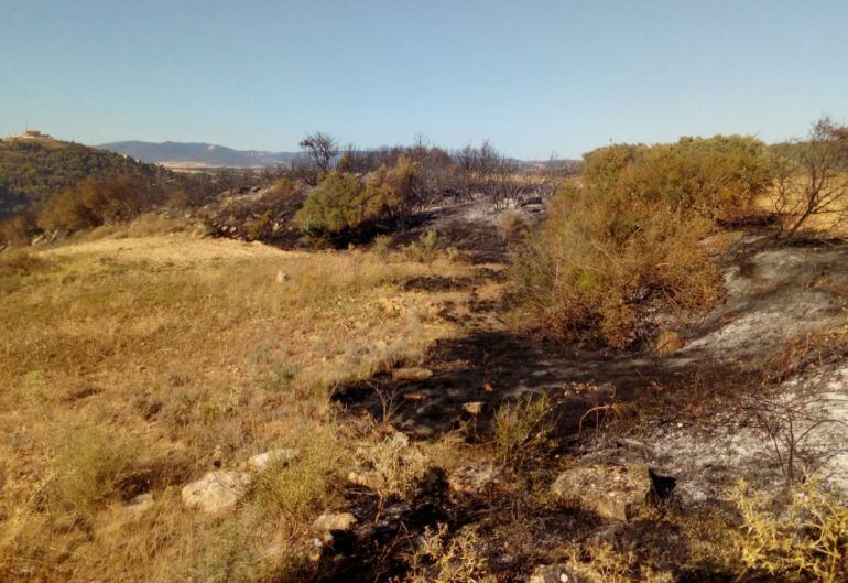 Zona afectada por el incendio