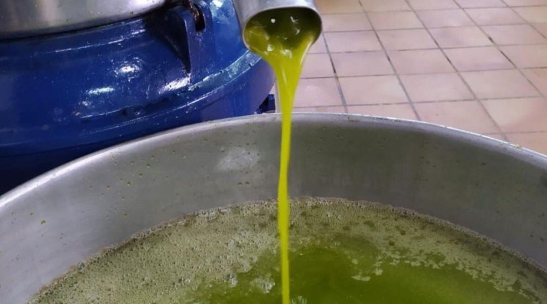 Aceite de oliva virgen extra en una almazara.