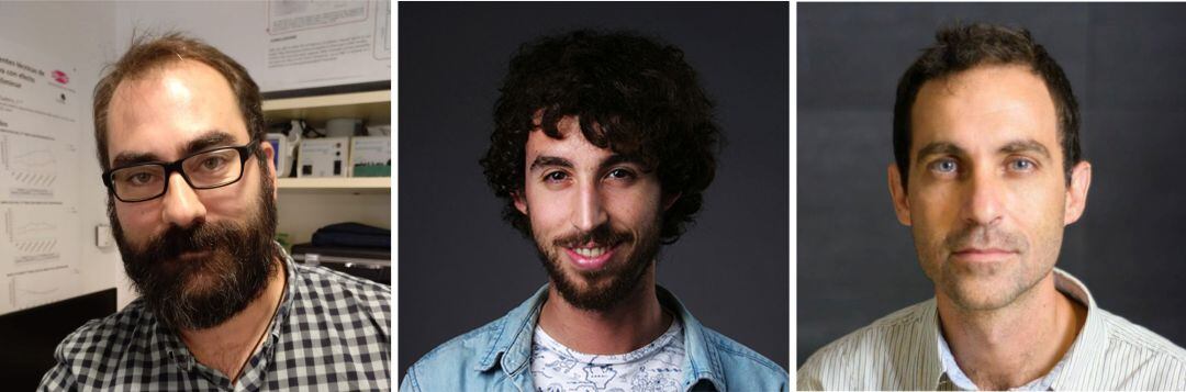 Equipo que participó en la investigación