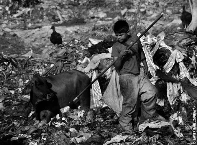 Entre las imágenes más impactantes está la del Premio Pulitzer, Javier Bauluz, que ha cedido la fotografía de un niño trabajando en el vertedero de Managua en Nicaragua