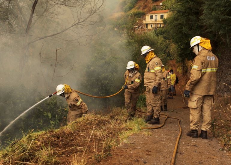 Para combatir los incendios activos hay desplegados 5.975 efectivos humanos, al menos 1.400 vehículos terrestres y 52 medios aéreos 